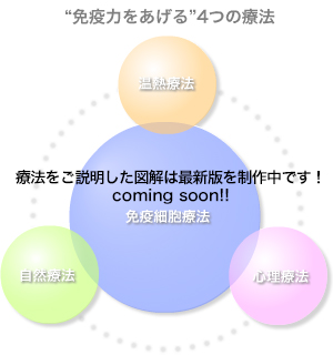 免疫力をあげる４つの療法