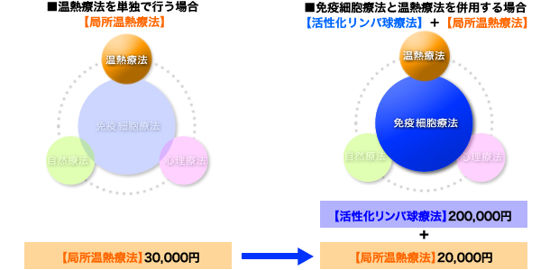 図:局所温熱療法の割引適応例