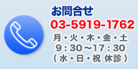 アクセス・診療時間　TEL：03-5919-1762、月～土（日・祝休診）、9:30～17:30