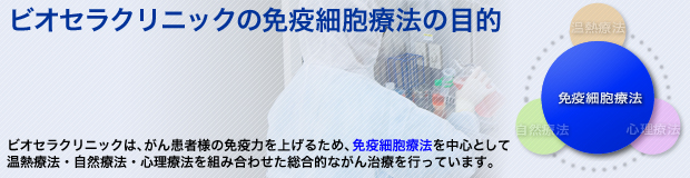 ビオセラクリニック|がん治療における免疫細胞療法 