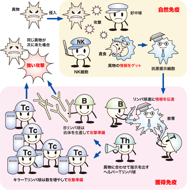 免疫 療法 クリニック