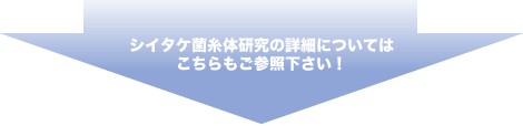 シイタケ菌糸体研究の詳細についてはこちらもご参照ください。