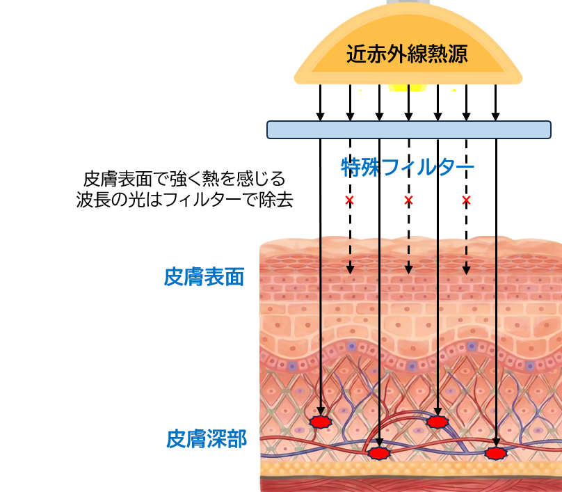 全身温熱療法のメカニズム